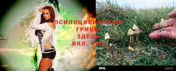 шишки Богородск