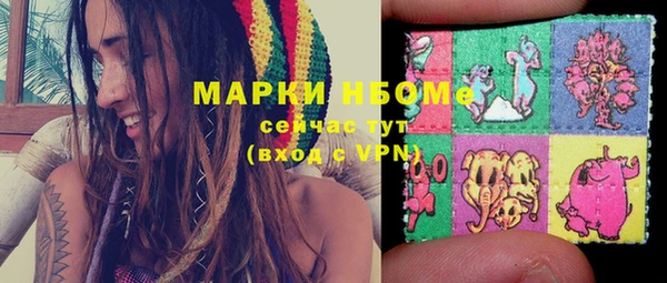 хмурый Сосновка