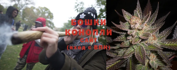 шишки Богородск