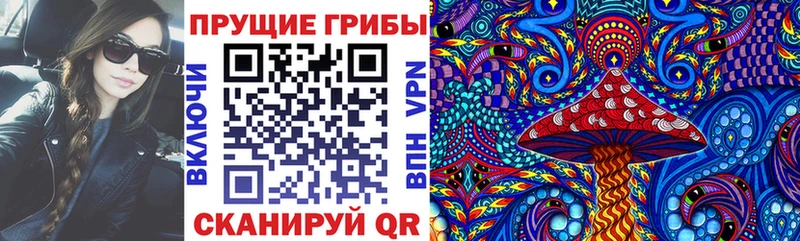 Галлюциногенные грибы Psilocybe  Ильский 